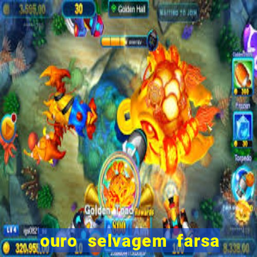 ouro selvagem farsa ouro selvagem o que aconteceu